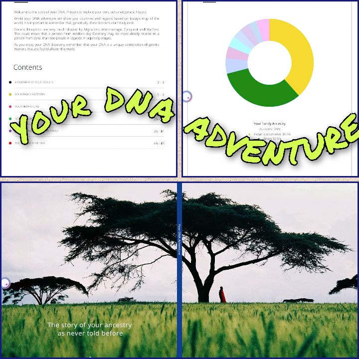 Image of Ancestry DNA Test