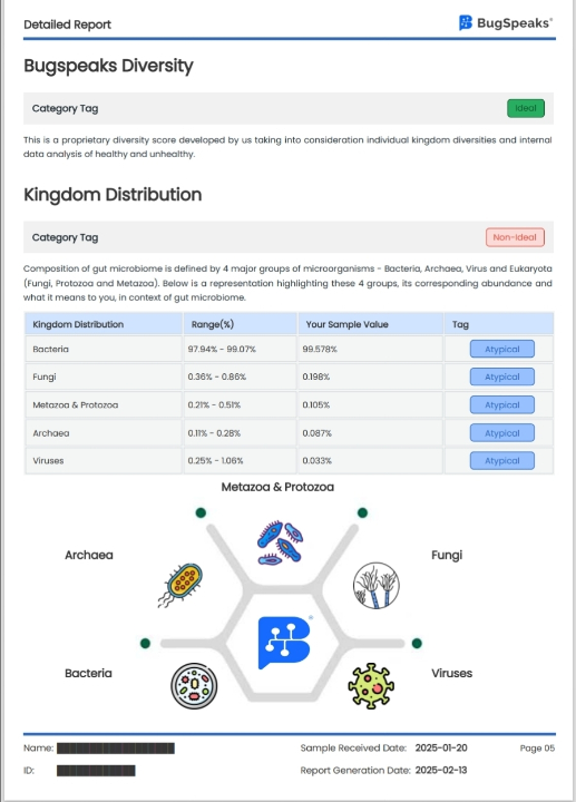 Image of GUT Microbiome
