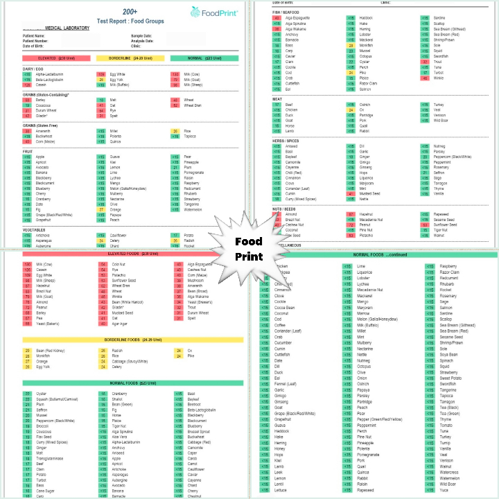 Image of Food Intolerance IgG