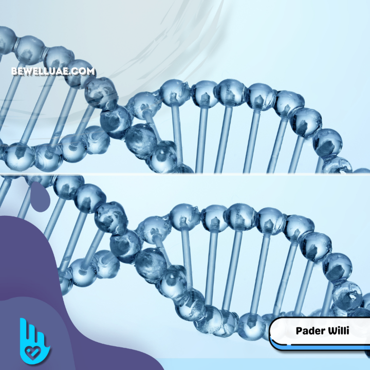 Pader willi syndrome methylation